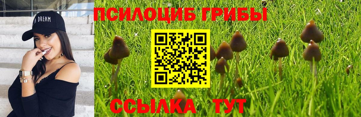 Галлюциногенные грибы Psilocybine cubensis  Галлюциногенные грибы Psilocybine cubensis  Вход с VPN  Сосновоборск 